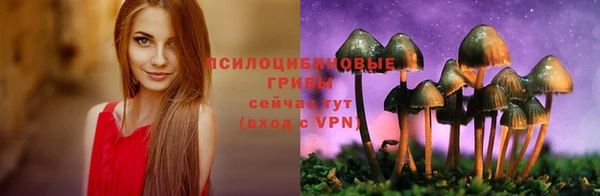 мяу мяу мука Балабаново