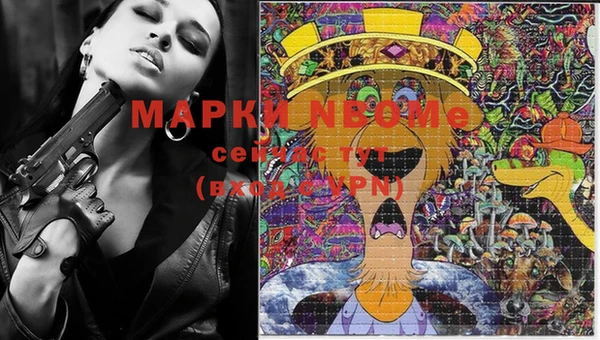 крисы Балахна