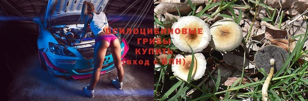 мяу мяу мука Балабаново